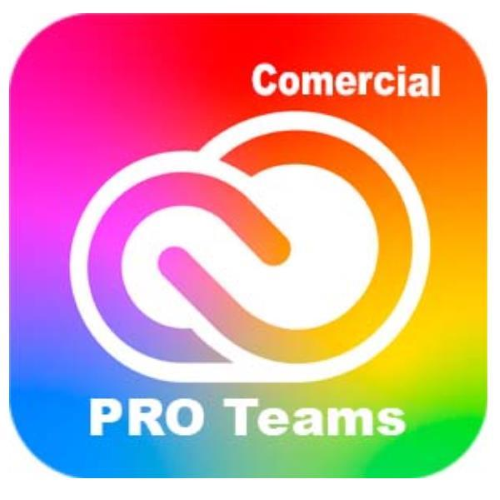 Adobe Creative Cloud All Apps - Pro for teams - Nuovo abbonamento (1 anno) - 1 utente - GOV - Adobe Value Incentive Plan (VIP) Marketplace - Livello 1 (1-9) - Win, Mac - Multi European Languages